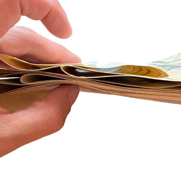 Marzipan Coordinating Border Pre-Pasted Floral Pattern Lot 3 NEW Packs 1 Partial - Picture 5 of 7